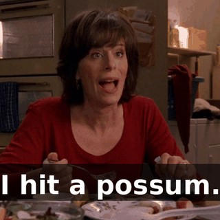 I hit a possum.