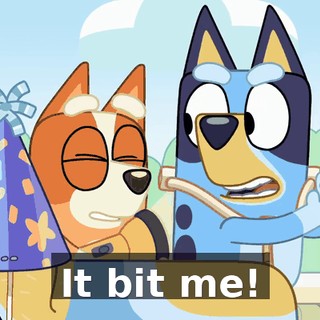 It bit me!