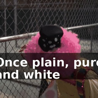 ♪ Once plain, pure and white ♪