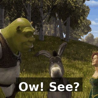 Ow! See?