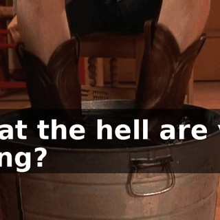 What the hell are you doing?
