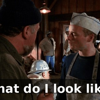 What do I look like?