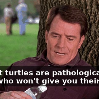 is that turtles are pathological liars who won't give you their gold.