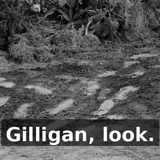 9e6c1e18-5e6c-4440-9186-19b1c68e8e67.gif