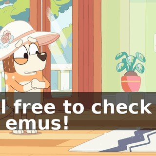9e8e0ecd-7f8a-4629-b359-48eca55214ef.gif