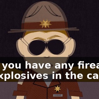 - Do you have any firearms or explosives in the car?