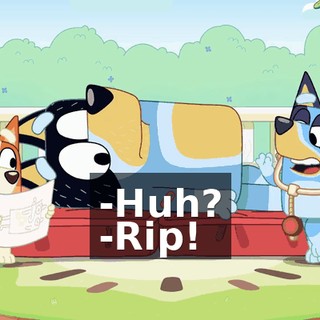 -Huh? -Rip!