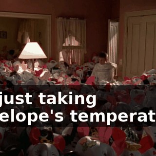 I'm just taking Penelope's temperature.