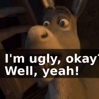 - I'm ugly, okay? - Well, yeah!