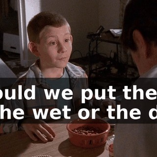 Should we put them in the wet or the dry?