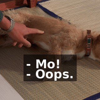 9ed7ec8d-3696-46b4-a772-f28f53342963.gif