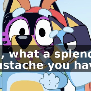 Oh, what a splendid mustache you have.