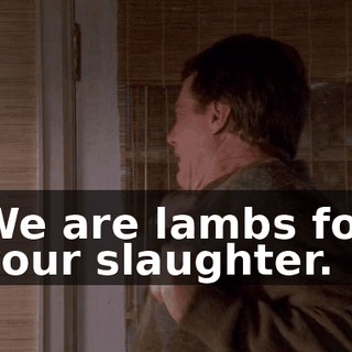 We are lambs for your slaughter.