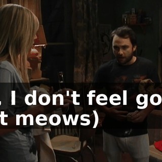 Oh, I don't feel good. (cat meows)