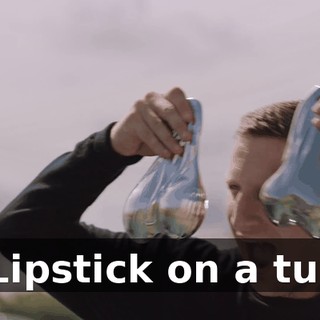 - * Lipstick on a turd *