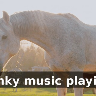 [funky music playing]