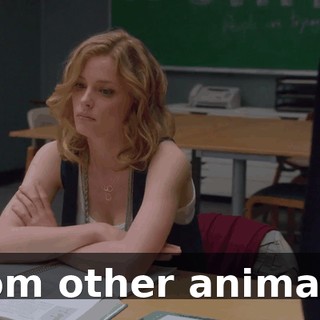 9f37f1c7-2835-4603-a0cf-b50d95906ecf.gif