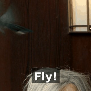 9f7f6998-6b17-468a-87e1-78bc6ee70e47.gif