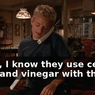 Now, I know they use celery salt and vinegar with that,