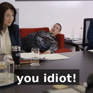 you idiot!