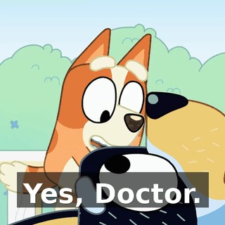 Yes, Doctor.