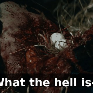 9fc5e73d-d057-40e1-99a2-f26f30bd04ff.gif