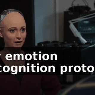 My emotion recognition protocol