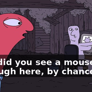 but did you see a mouse run through here, by chance?
