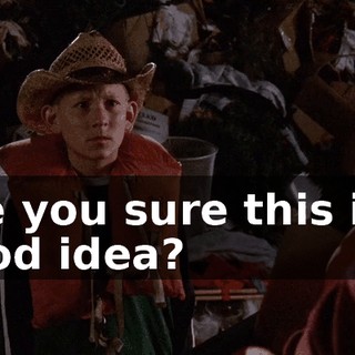 Are you sure this is a good idea?