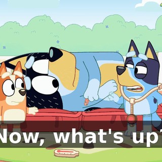Now, what's up?