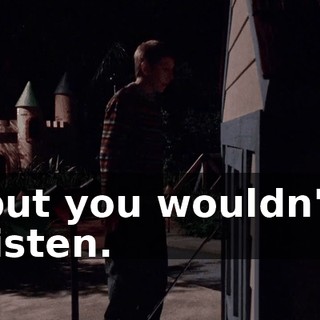but you wouldn't listen.