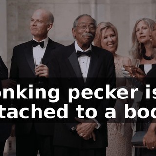 honking pecker is attached to a body,