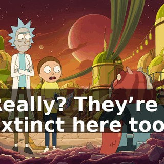 a0c96939-d026-4d33-9e27-88e6504d3b61.gif