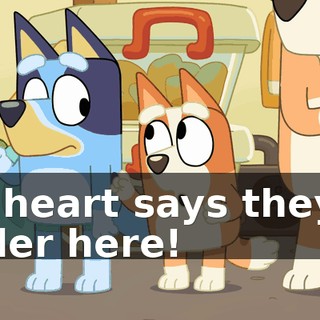My heart says they're under here!