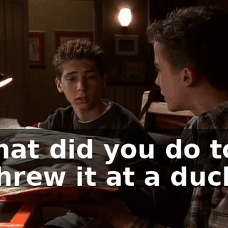 - What did you do to it? - I threw it at a duck.