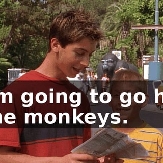 I'm going to go hit the monkeys.