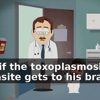 a11b67df-3e7c-49d4-88bb-dbd0e1842858.gif