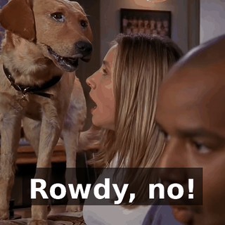 a1302aa8-f5a9-4ba6-be9f-8df7904b6a56.gif