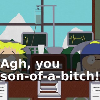 Agh, you son-of-a-bitch!