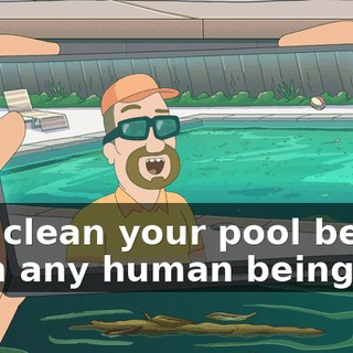 and clean your pool better than any human being.