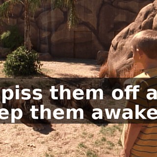 to piss them off and keep them awake