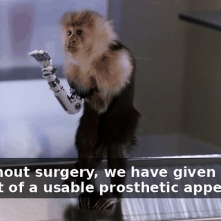 a200193b-e53c-4b0b-8fb8-b70e92cbc8b5.gif