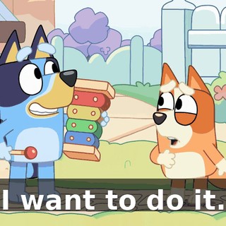 I want to do it.