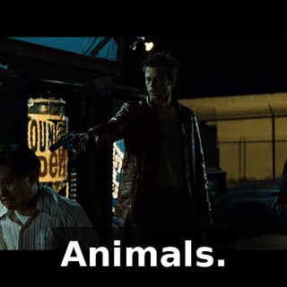 Animals.