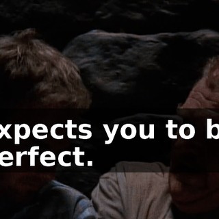 expects you to be perfect.