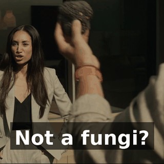 a2441f49-6dc6-4ea1-8f59-b047f3de7b60.gif