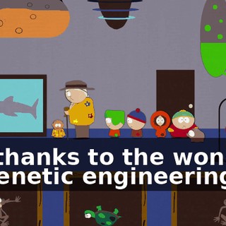 a286de26-d1eb-438a-b650-d7e05d5a1a0f.gif