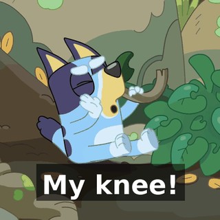 a2bfea11-9cf5-4b6e-b685-cf265d16474a.gif