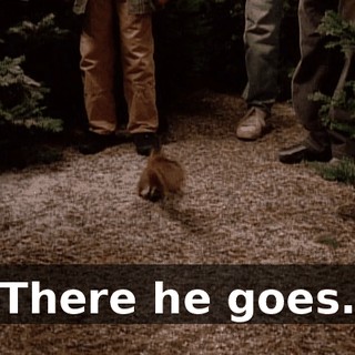 There he goes.