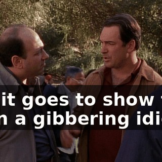 Oh, it goes to show that even a gibbering idiot